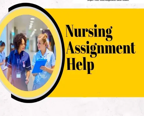 Nursing Assignment Help