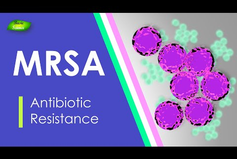 MRSA