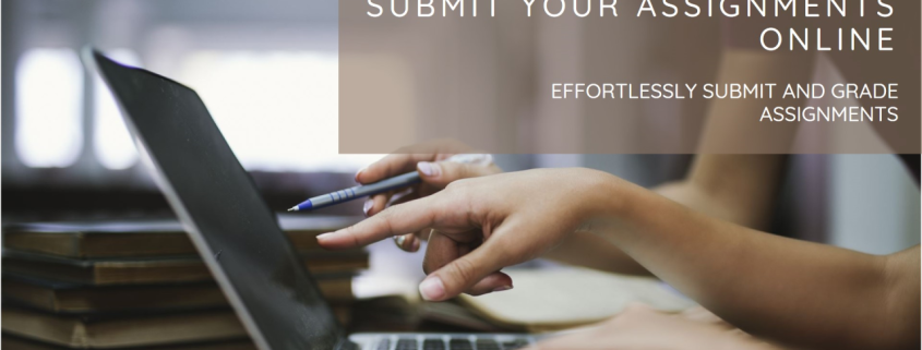 Affordable Nursing Homework Help | Cheap & Professional Nursing Assignment Writers