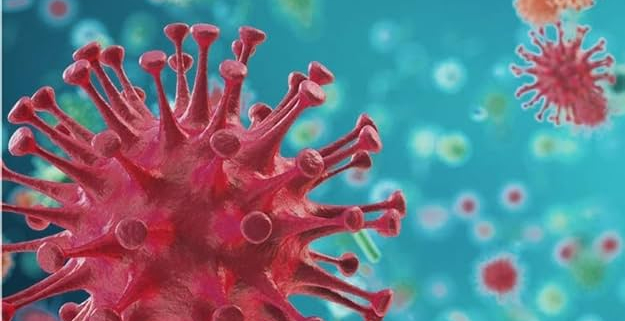 Pathophysiology Homework Help Online | Expert Nursing Assignment Support