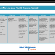 Nursing Homework Assistance | Professional Nursing Assignment Help