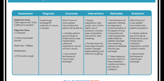 Nursing Homework Assistance | Professional Nursing Assignment Help