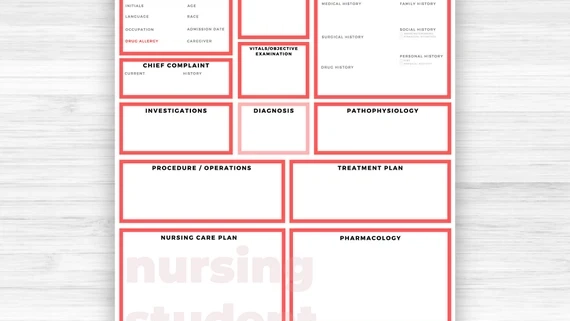 Nursing Assignment Solutions | Expert Help & Tips for Students