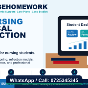 AI Nursing Clinical Reflection Help by NurseHomework - Call 0725345345